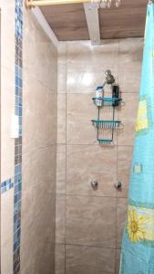 萨利纳斯Dulcinea Mini House的带淋浴的浴室和玻璃淋浴间