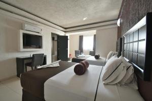 瓜达拉哈拉波多诺伏广场中央酒店的酒店客房设有一张大床和一台电视。