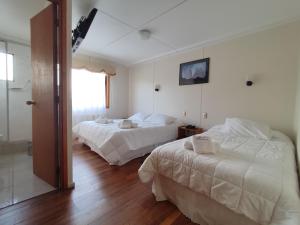纳塔列斯港HOTEL GLACIARES的酒店客房,设有两张床和镜子