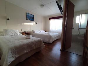 纳塔列斯港HOTEL GLACIARES的酒店客房带两张床和一间浴室