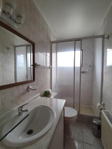 纳塔列斯港HOTEL GLACIARES的一间带水槽、卫生间和淋浴的浴室