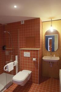 OzTimberlodge的一间带卫生间和水槽的浴室以及一台电视。