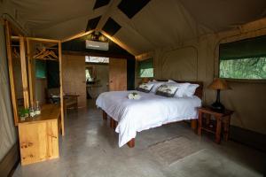 Little Africa Safari Lodge客房内的一张或多张床位