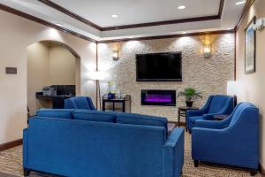 丹顿UNT附近康福特茵酒店的客厅配有蓝色的沙发和平面电视。