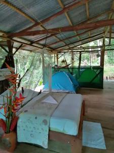 德雷克Rio Agujitas Eco Farm hostel and Tours的相册照片