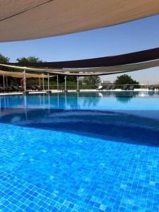 索哈尔索哈尔皇冠假日酒店的蓝色海水大型游泳池