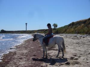 斯塔贝多福Inselhaus OG的一名在海滩上骑白马的女人