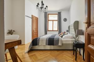 布拉格Lavish Apartment in Old Town by Prague Days的一间卧室设有一张床和一个窗口