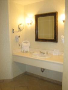 奥兰多奥兰多纪念酒店的一间带水槽和镜子的浴室