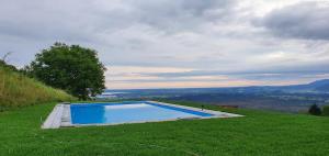 格拉绍Berghotel & Chalets Adersberg的一座位于草地山顶的游泳池