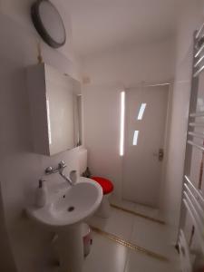 2 rooms apartment Telecabinei Busteni的一间浴室