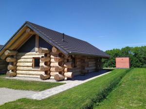 KrickowNaturstammhaus Tollensesee的小木屋,有一大堆木柴