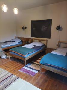KétbodonyBakancstanya的客房设有三张床和一台平面电视。