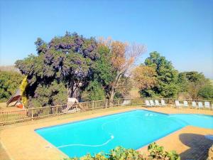 伯格维尔桑福德公园乡村酒店 的一个带椅子和树的蓝色游泳池