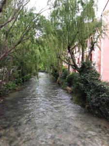 哈拉瓦巴尔内阿里奥坎德拉圣女酒店的一条有树的河
