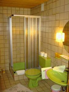 奥夫特尔施旺Mädelegabel的浴室配有绿色卫生间和水槽。