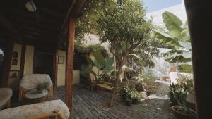 加拉奇科Casa La Monja的一间种植了大量树木和植物的客厅
