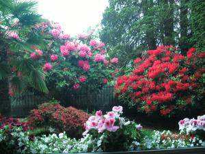 里士满巨石阵住宿加早餐旅馆的花园里的一束粉红色的花