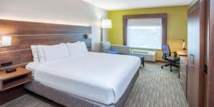 蒙特朱丽叶纳什维尔地区朱丽叶山智选假日酒店的酒店客房设有一张大床和一张书桌。