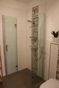 沃尔肯施泰因Ferienwohnung "Zum Schloßkeller"的浴室里设有玻璃门淋浴