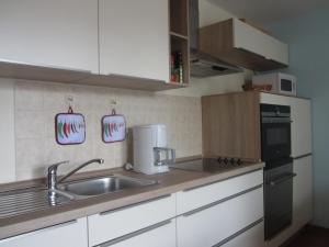 奥茨塞巴德·迪尔哈根Seepferdchen App 11的一间带水槽和微波炉的小厨房