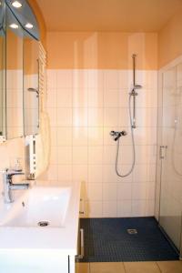 FriedenstalKamaahr的带淋浴和盥洗盆的浴室