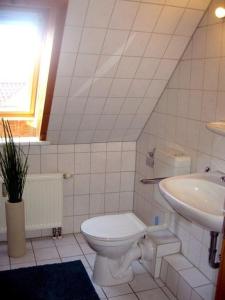 奥斯特巴德里克Ferienwohnung "Uferschwalbe"的一间带卫生间和水槽的浴室