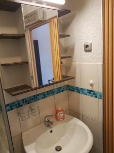劳沙Waldblick - a48825的一间带水槽和镜子的浴室