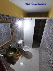 扎古拉Riad Fennec Sahara的一间带卫生间和淋浴的浴室