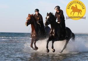 Neu KlockenhagenFerienhaus "Islandpferd"的两个男人在海滩上的水里骑马
