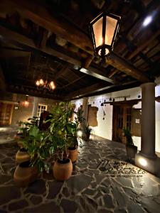 奇格纳瓦潘Mi Ranchito Chignahuapan Hotel的大堂,种植了盆栽植物,配有灯具