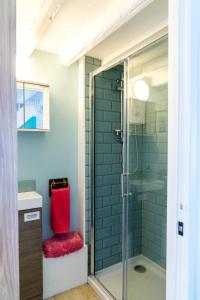 马汉莱斯Bwthyn Gweilch的一间带玻璃淋浴间和红色座椅的浴室