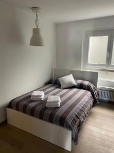 卢加诺APNC Apartment Castagnola的一间卧室配有一张床,上面有两条毛巾