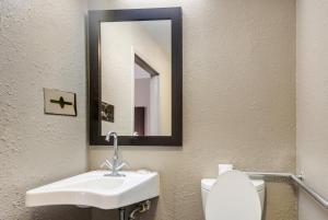 萨凡纳Red Roof Inn Savannah – Southside/Midtown的一间带水槽、卫生间和镜子的浴室