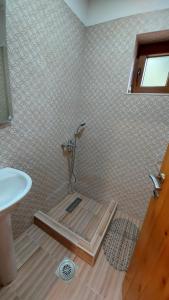 莫伊科瓦茨Log cabin 1 Merdovic的带淋浴的浴室