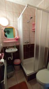 鲁恰内尼达Letni Domek , Ogrzewany, z bilardem的带淋浴、卫生间和盥洗盆的浴室
