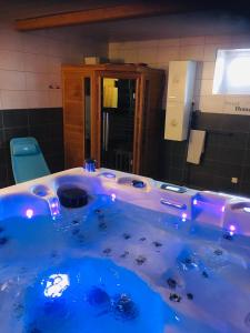 MerxheimGîte Spa Sauna Piscine CÔTÉ VERGER Merxheim Alsace的浴室设有蓝色浴缸,配有镜子