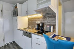 青斯特Altes Wasserwerk, App 3的一个带水槽和台面的小厨房