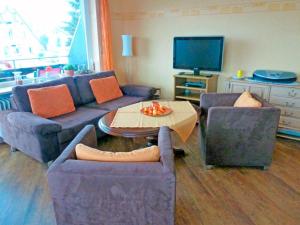 伦茨基希Kappel App 21的带沙发、桌子和电视的客厅