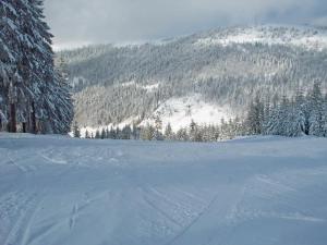 伦茨基希Kappel App 21的雪覆盖的山坡上,有树木和山