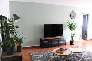 朗斯Chez Jo的客厅配有盆栽植物和平面电视