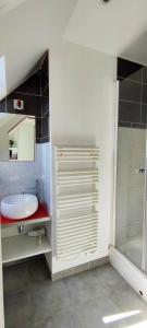 COEUR DE VILLE - Appartement de charme sous pente的一间浴室