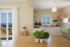 苏卡雷斯Boo Premium Living Villas的木桌上的厨房,有三株盆栽植物