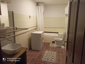 里巴斯卡班亚Apartmani Lina的一间带水槽和卫生间的浴室