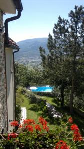 瓜尔多塔迪诺Casale degli ulivi的从鲜花房子里欣赏到游泳池的景色