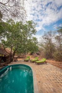 雅拉Leopard Safaris Yala的一个带两张绿色椅子和一张野餐桌的游泳池