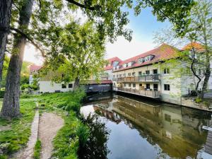 爱尔福特Ferienwohnung Blickfang - Modernes Apartment direkt in der Altstadt von Erfurt mit Balkon - beste Lage und Aussicht的城市里一条有建筑和树木的河流