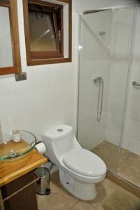 San CarlosHotel Boutique Casona Violeta的一间带卫生间和玻璃淋浴间的浴室