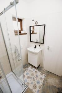 贝克良Suzanne Băile Figa- camere tip hotel的一间带水槽和淋浴的浴室