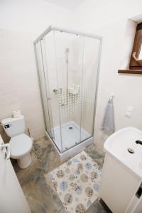 贝克良Suzanne Băile Figa- camere tip hotel的带淋浴、卫生间和盥洗盆的浴室